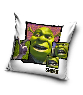 Shrek párnahuzat 40x40 cm Velúr