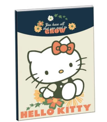 Hello Kitty Stay Sunny B/5 vonalas füzet 40 lapos