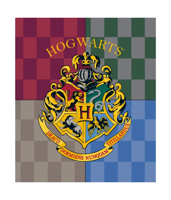 Harry Potter Hogwarts coral fleece polár takaró 120x150cm