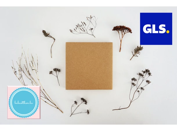 GLS Futárszolgálat decemberi szállítási rendje - 2023